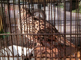 s-090407_kiji.jpg