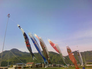 s-100419_koinobori.jpg