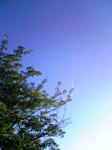 080728_182441.jpg