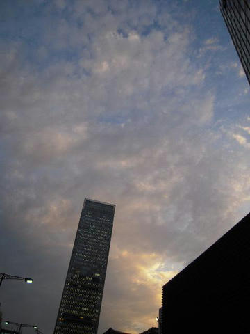 SSCN6886.JPG