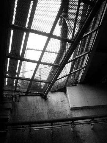 Yoyogi.JPG