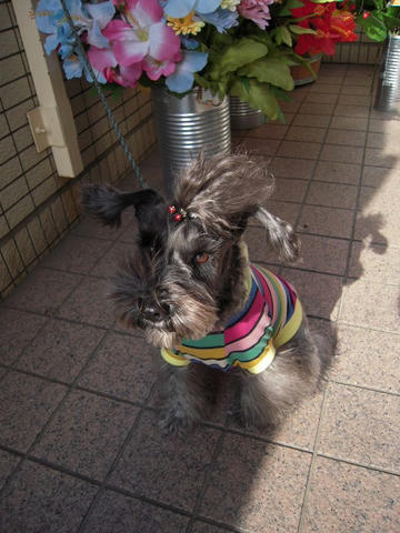 DSCN9765.JPG