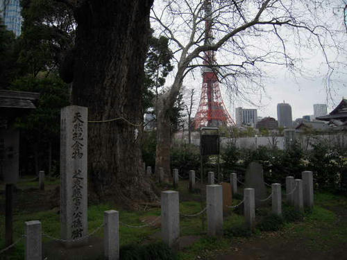 SSCN1240.JPG