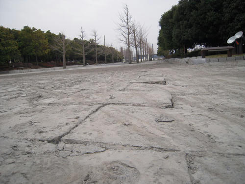 DSCN6370.JPG