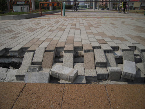 DSCN6486.JPG