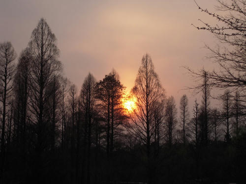 DSCN6518.JPG