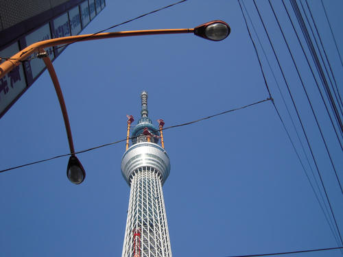 DSCN6782.JPG