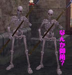2008.10.22-3.JPG