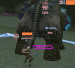 2010.6.19-7.jpg