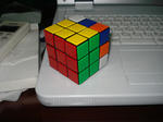 DSC00182.JPG