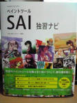 SAI本