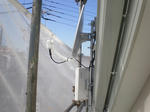 PB110034.jpg