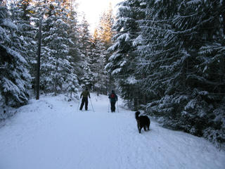 christmas0004.jpg