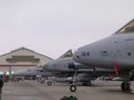 f1ea7143.jpg