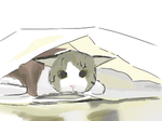 1f850f44.png