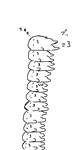 10_9_24a.png