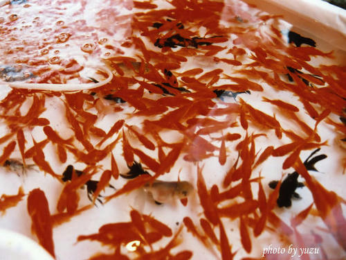 Image9_edited-1.jpg