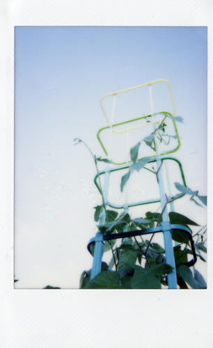 Image3-15.jpg
