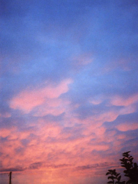 Image1-47.jpg
