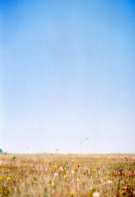 Image3-97.jpg