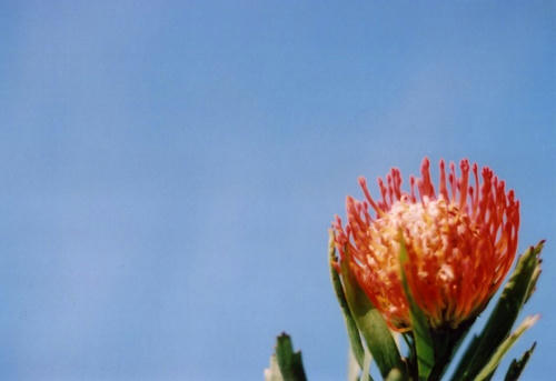 Image3-119.jpg