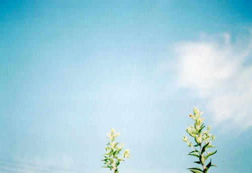 Image3-120.jpg