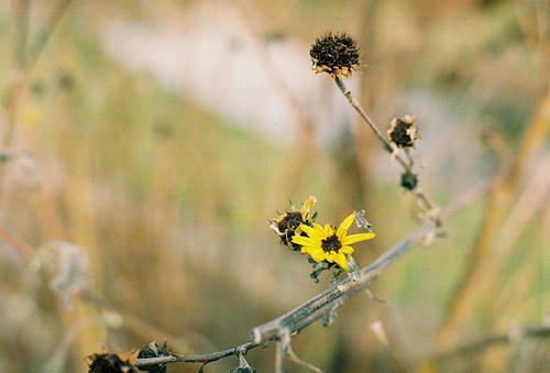 DH000003.jpg