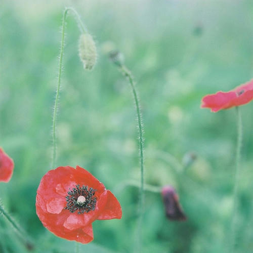 21916940.jpg