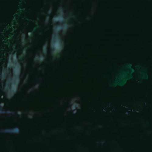 f08a844d.jpg
