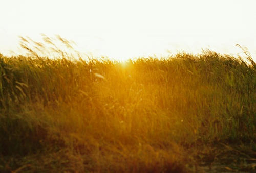 DH000033.jpg