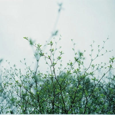 DL000070.jpg