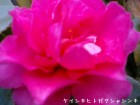 20060309_02
