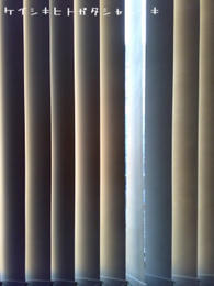 20081217_04.jpg