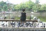 20090626_sum.jpg