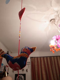 R0012855-1.jpg