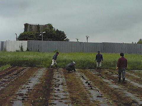 6a646541.jpeg