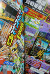 DSCN1106.jpg