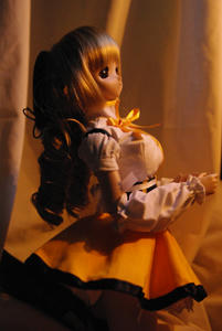 IMGP5564.jpg