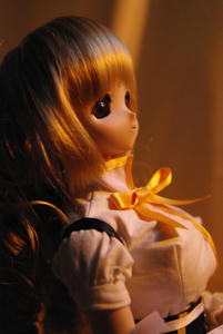 IMGP5562.jpg