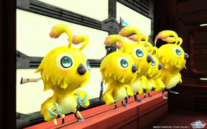 pso20120716_011148_004.jpg