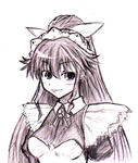 beni-1.jpg