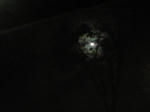 moonlight_001.JPG