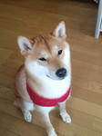 PAP_0001notexif.JPG