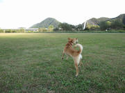 IMG_0110.jpg
