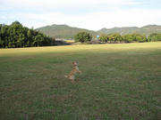 IMG_0112.jpg