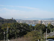 IMG_0174.jpg