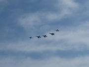 IMG_0766.jpg