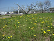 IMG_0985.jpg