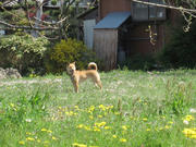 IMG_0991.jpg