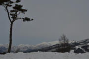 DSC_0032.jpg